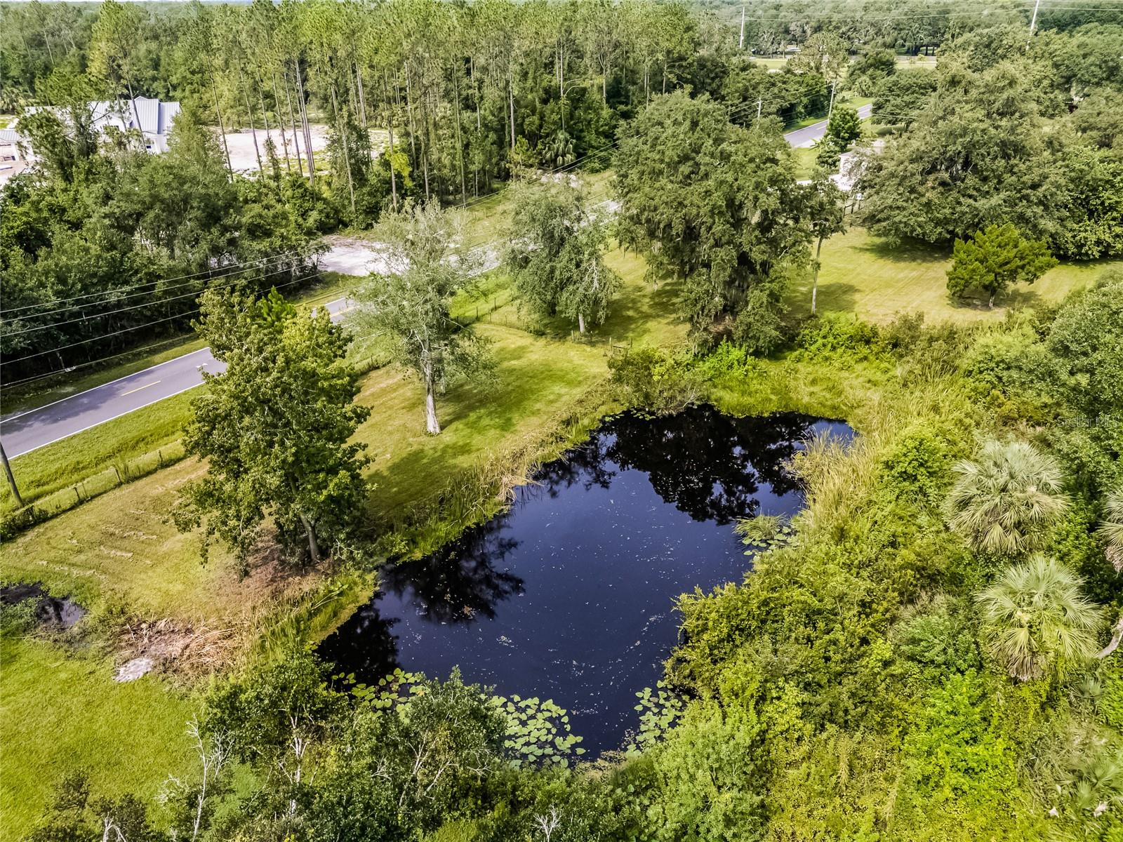 LAKE HARNEY ACRETTES - Residential