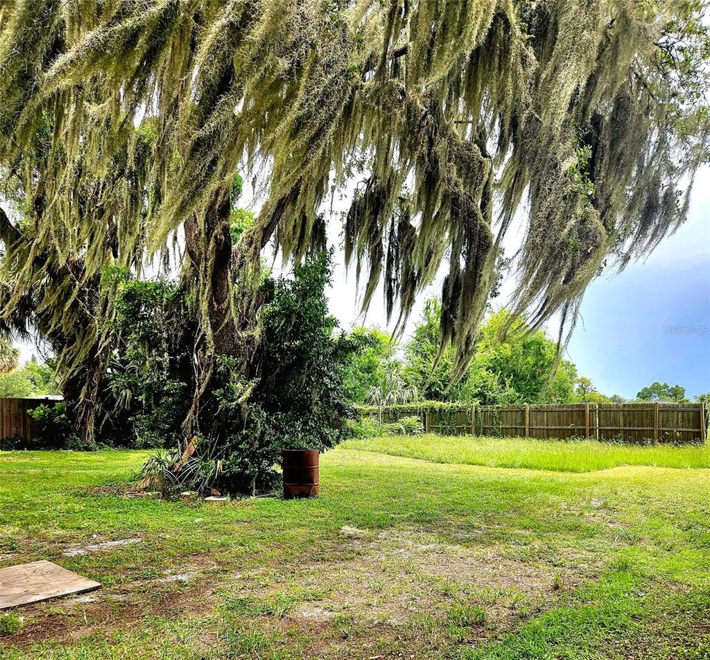 Photo of 770 W Webster Avenue #REAR LOT, Winter Park, FL 32789 (MLS # O6323647)