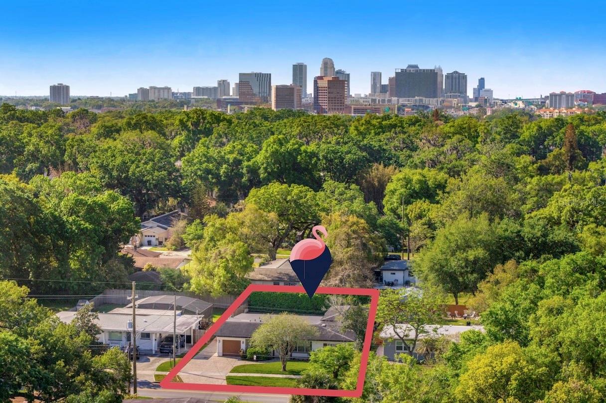 234 W WINTER PARK STREET