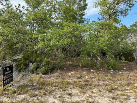 Tiny photo for 2923 W Pintado Drive, Citrus Springs, FL 34433 (MLS # S5154782)