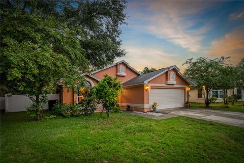 A home in PLANT CITY