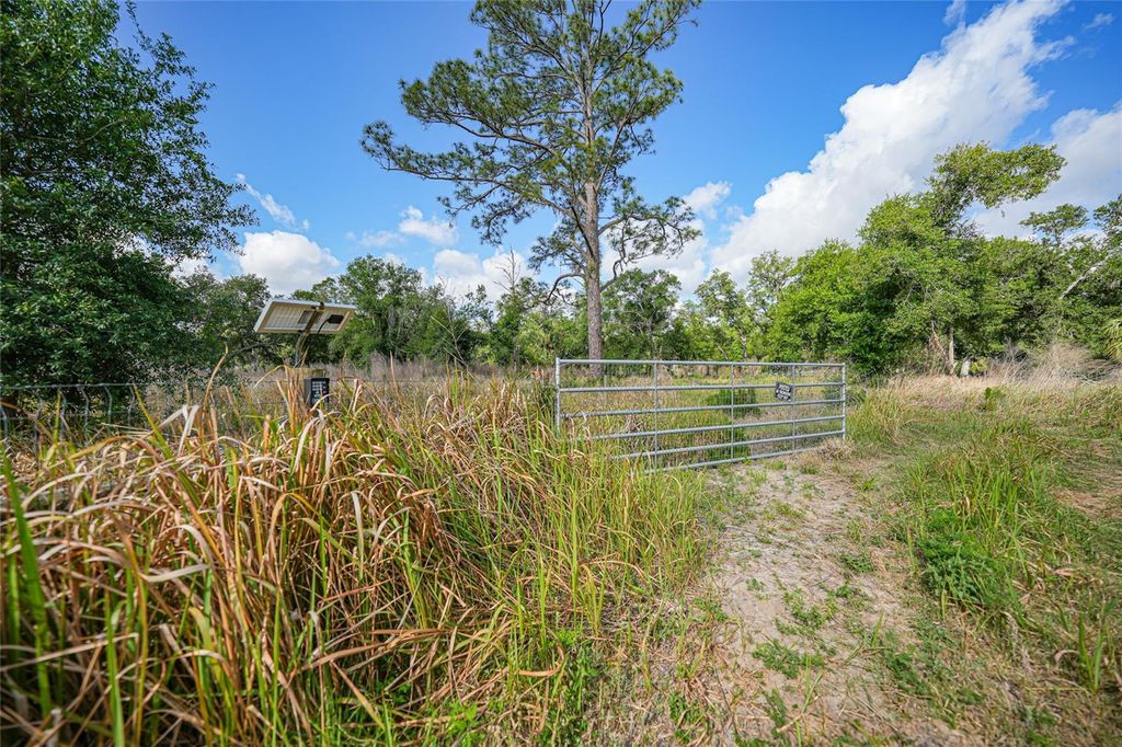Photo of 2143 SW Blossom Avenue, Arcadia, FL 34266 (MLS # C7508762)