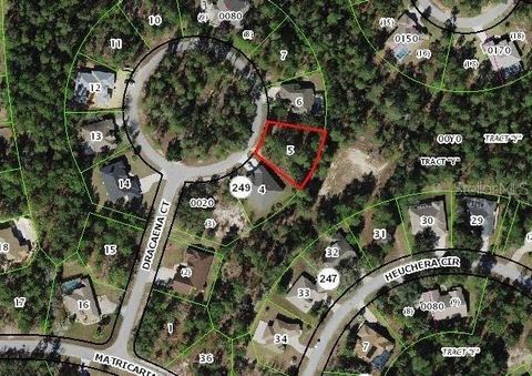 10 DRACAENA COURT HOMOSASSA FL 34446