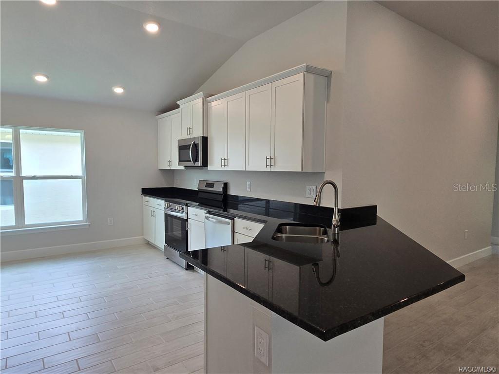 1125 HERON POINT DRIVE