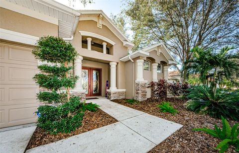 A home in VALRICO