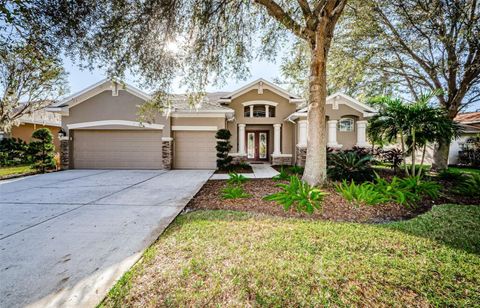 A home in VALRICO