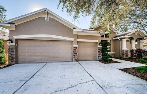 A home in VALRICO