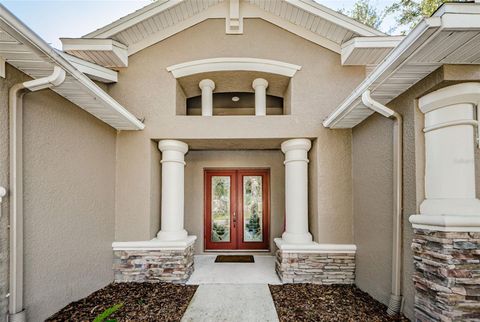 A home in VALRICO