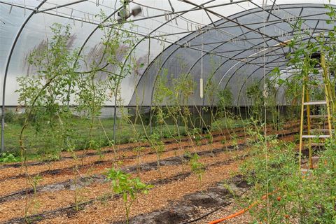 Tiny photo for 2026 Lewis Road, Leesburg, FL 34748 (MLS # O6392685)