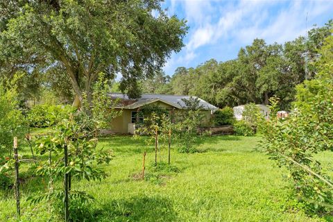 Tiny photo for 2026 Lewis Road, Leesburg, FL 34748 (MLS # O6392685)