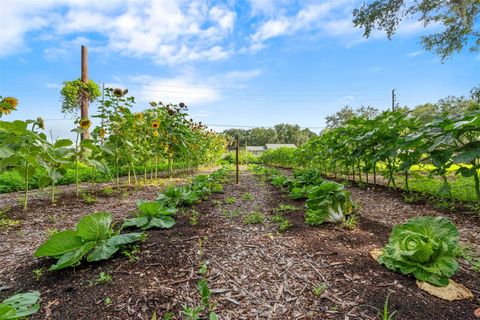 Tiny photo for 2026 Lewis Road, Leesburg, FL 34748 (MLS # O6392685)