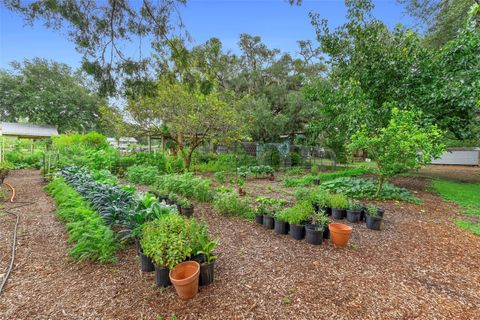 Tiny photo for 2026 Lewis Road, Leesburg, FL 34748 (MLS # O6392685)