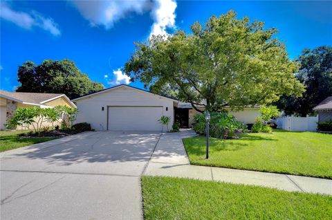 A home in VALRICO