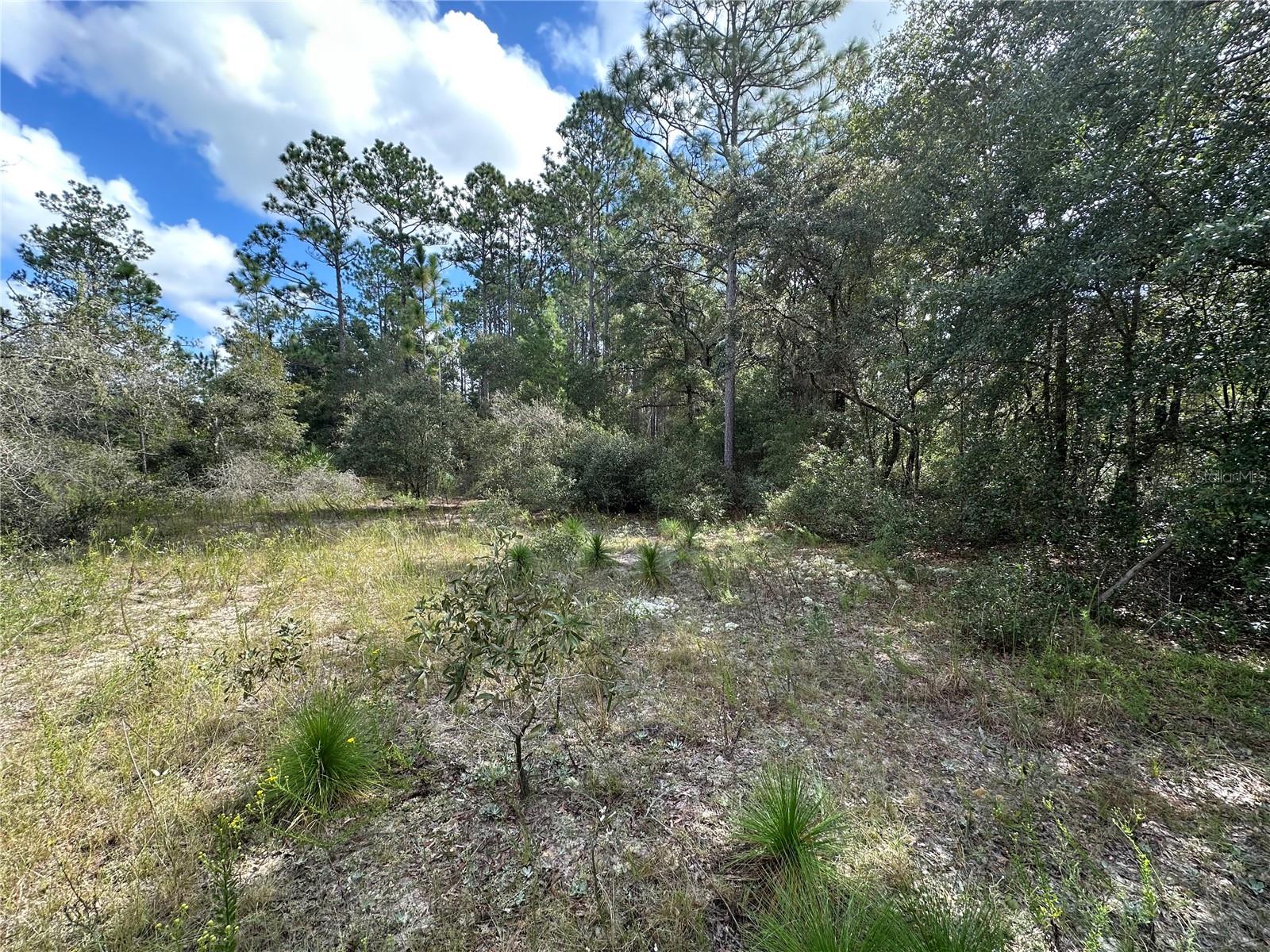RAINBOW LAKES ESTATE - Land