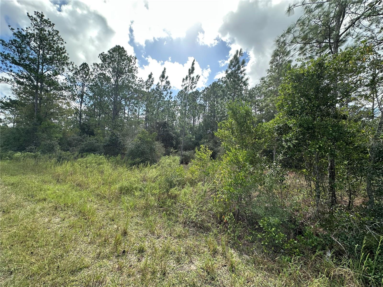 RAINBOW LAKES ESTATE - Land