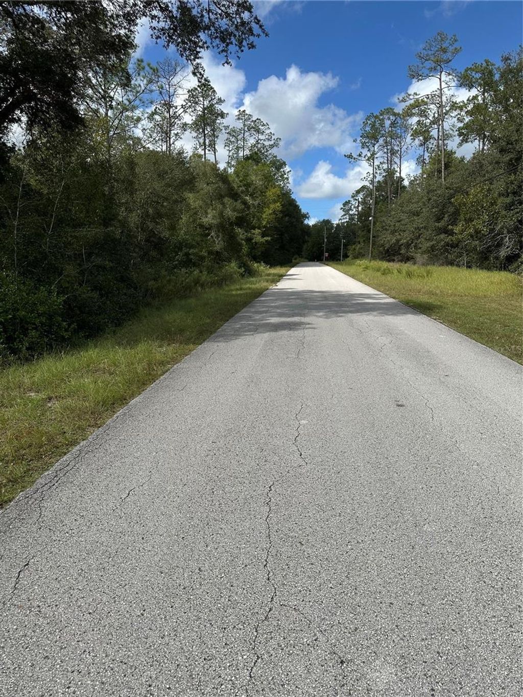 Photo of 000 SW Audubon Avenue, Dunnellon, FL 34431 (MLS # OM711108)