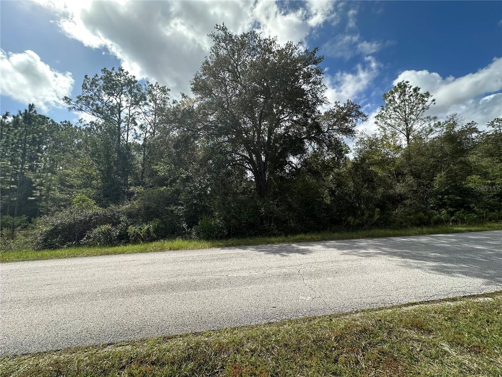 Photo of 000 SW Audubon Avenue, Dunnellon, FL 34431 (MLS # OM711108)