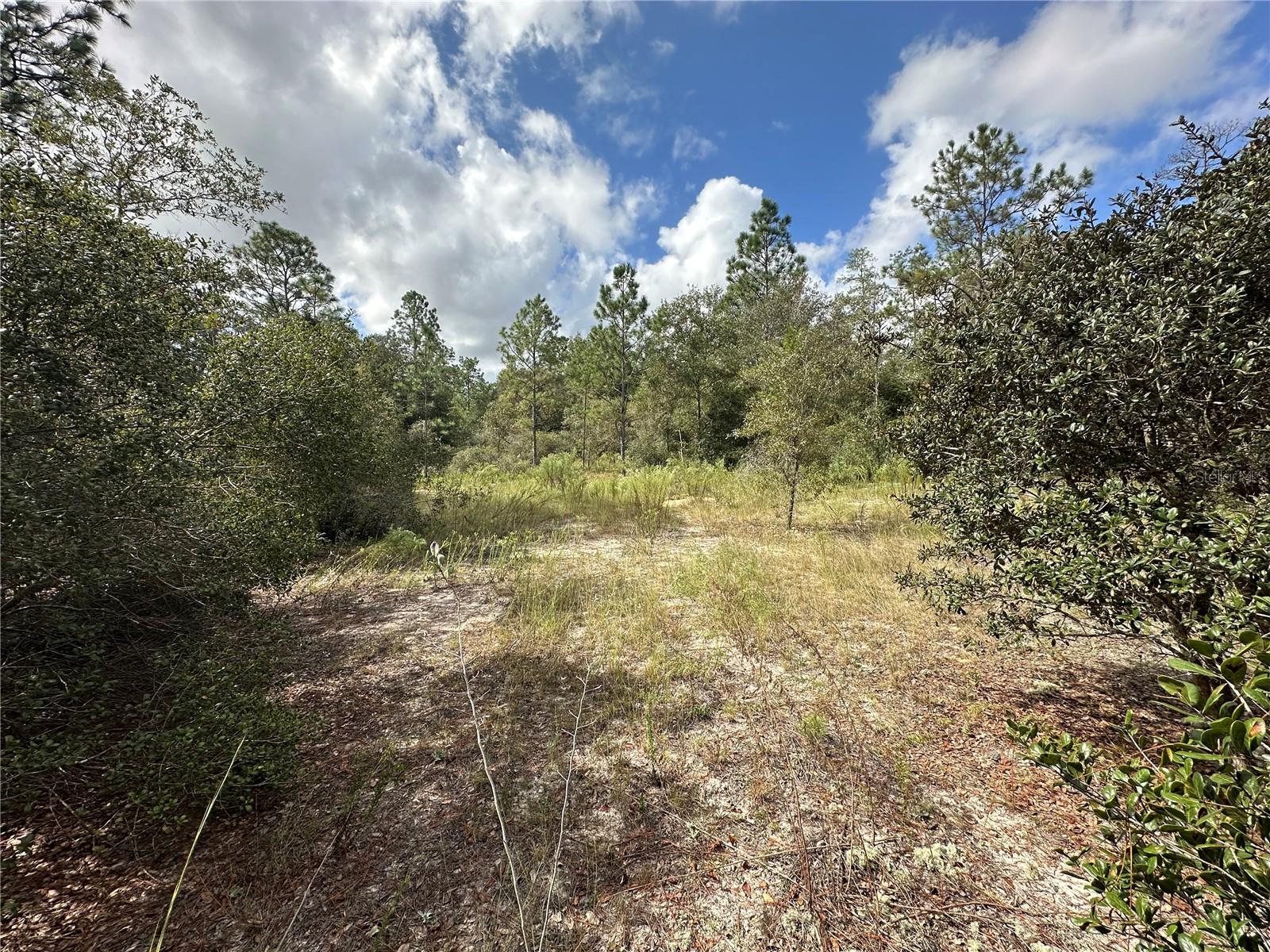 RAINBOW LAKES ESTATE - Land