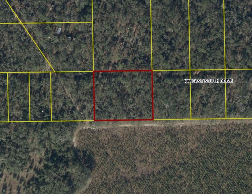 Photo of 151 NW East South Dr, Mayo, FL 32066 (MLS # O6357603)