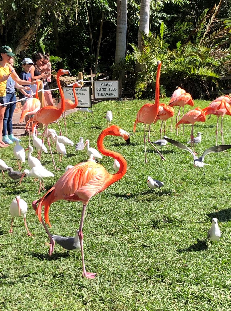 DESOTO TERRACE - Residential Lease