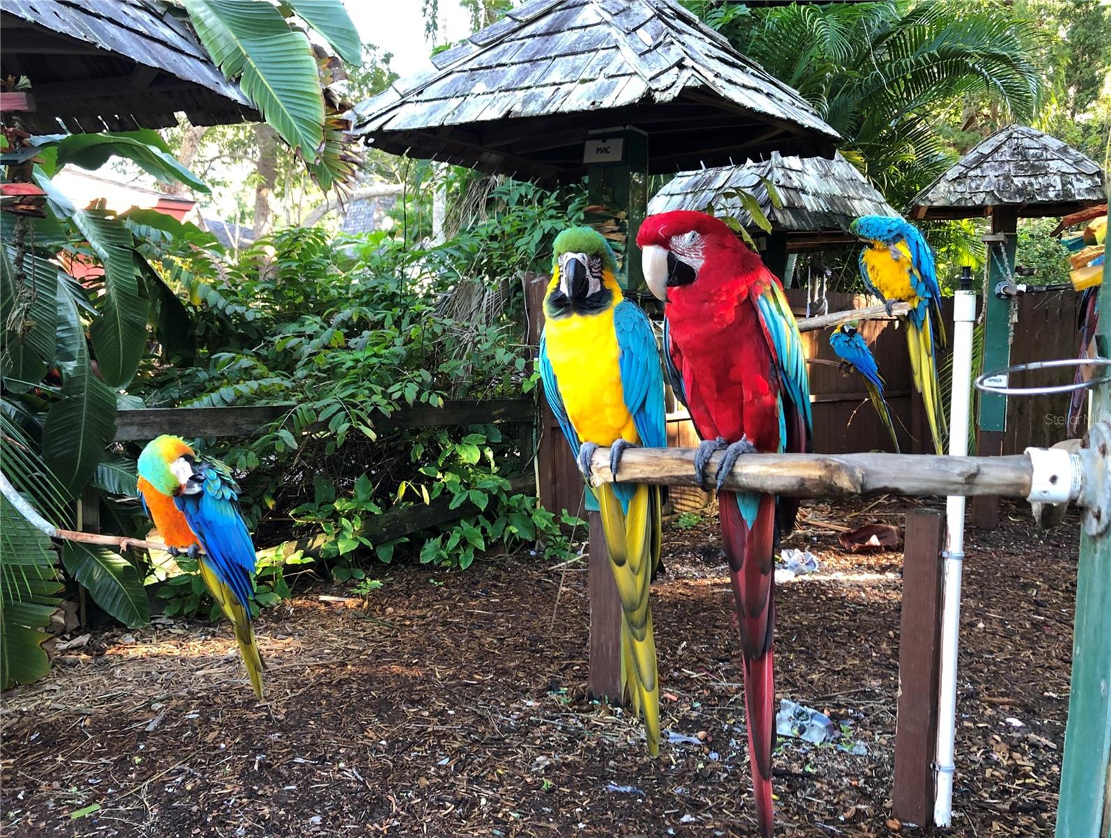 DESOTO TERRACE - Residential Lease