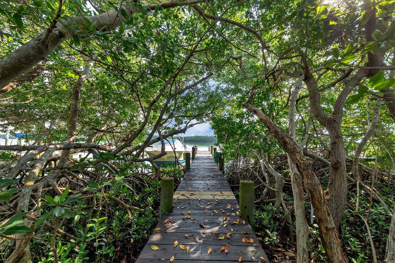 SEABOARD - Residential Lease