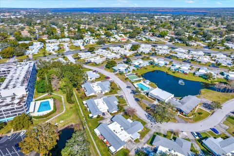 A home in PALM HARBOR