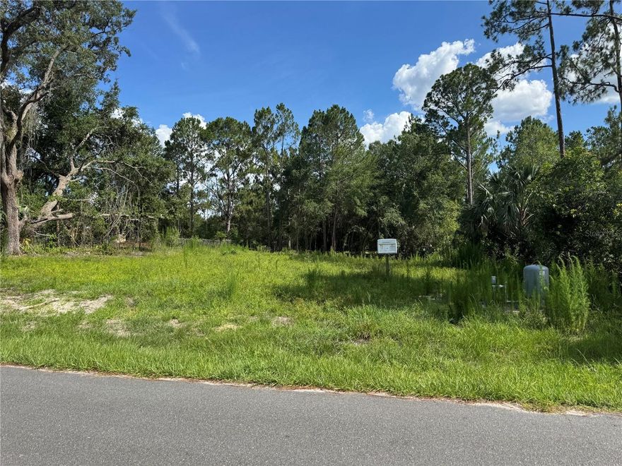 This 0.34 acre property is ready for your home. Cleared building site with a new water well on property.
Offering a peaceful and tranquil setting for building your dream house.
15 minutes to downtown Deland, 1 hour to Daytona and New Smyrna Beach.
St. Johns River Marina and Restaurants nearby. Go take a look TODAY!