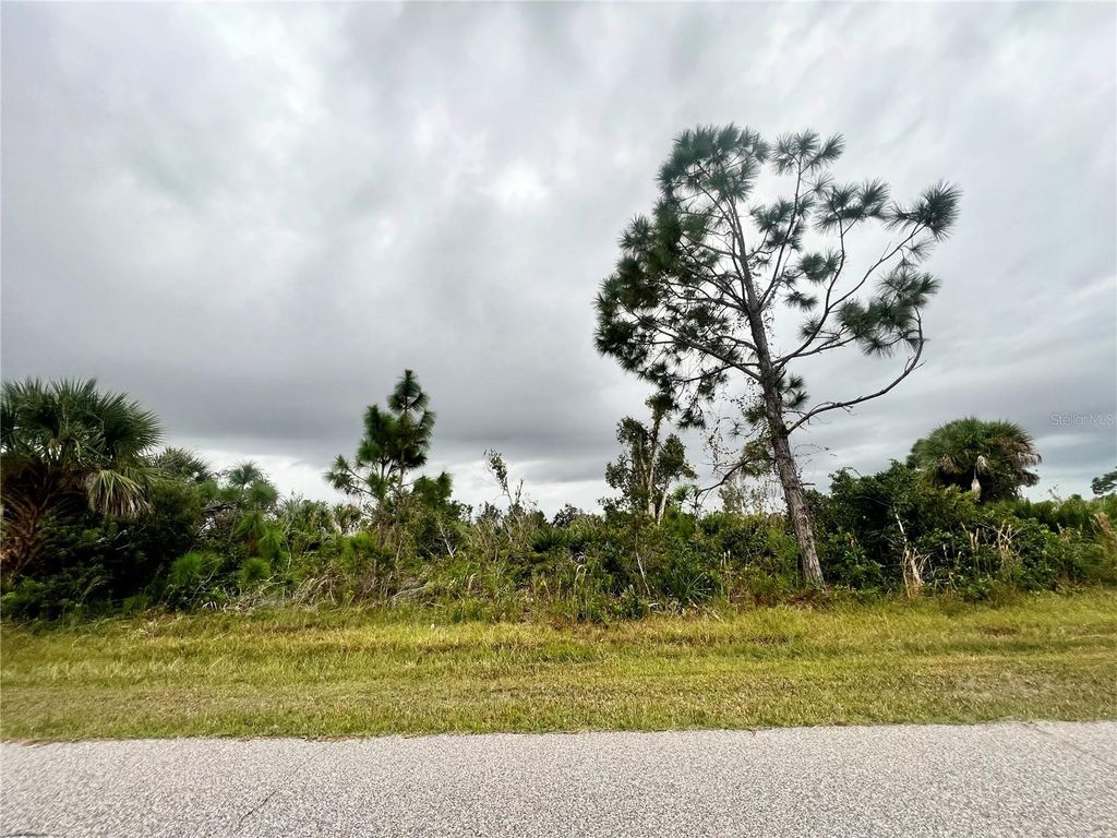 Photo of 12113 Snow Bird Avenue, Port Charlotte, FL 33981 (MLS # C7506756)