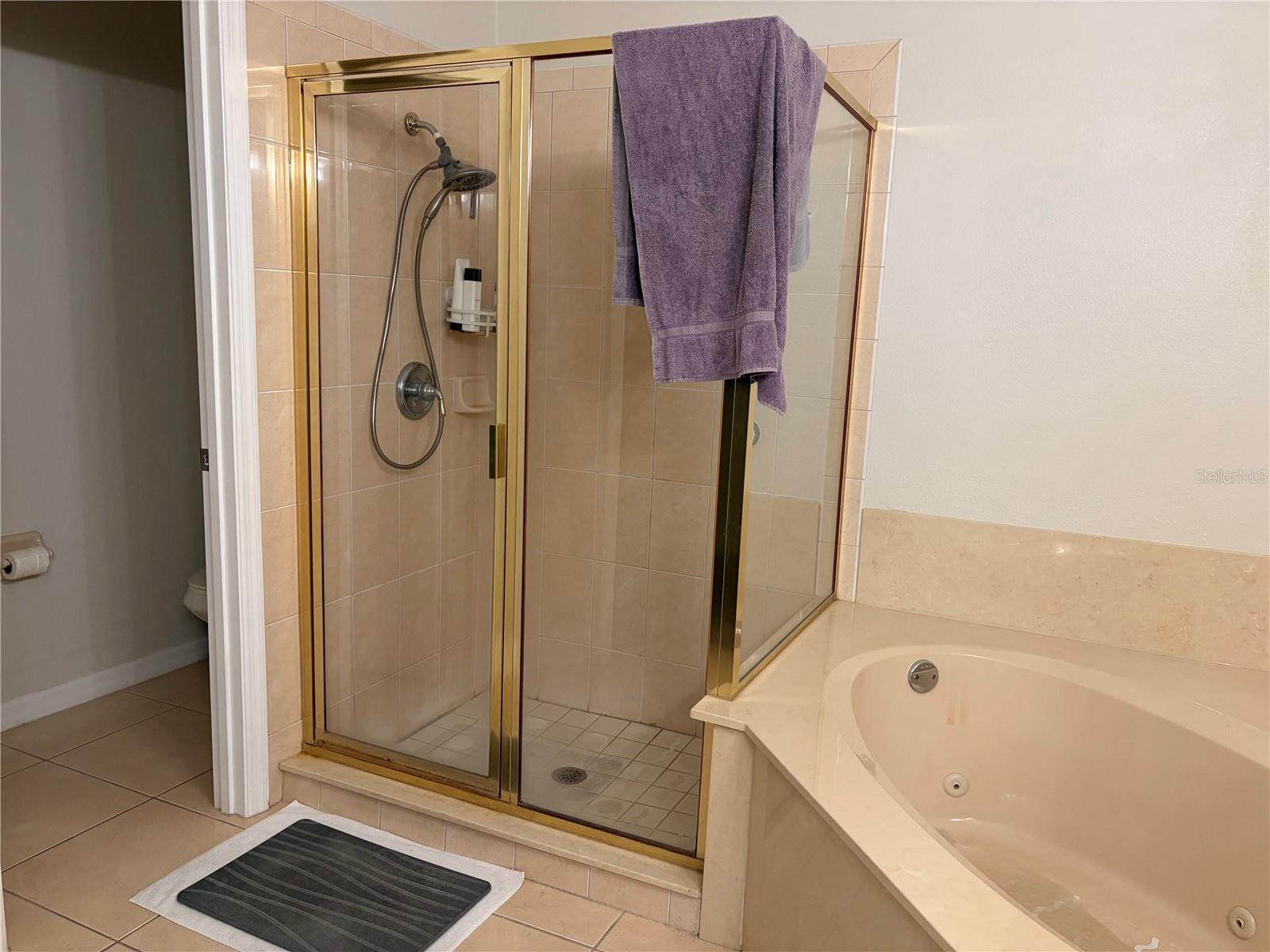 MONACO VILLAS PH 11 - Residential