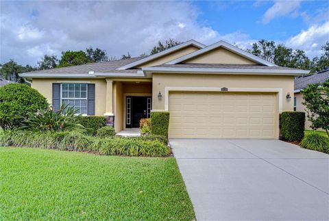 A home in PLANT CITY