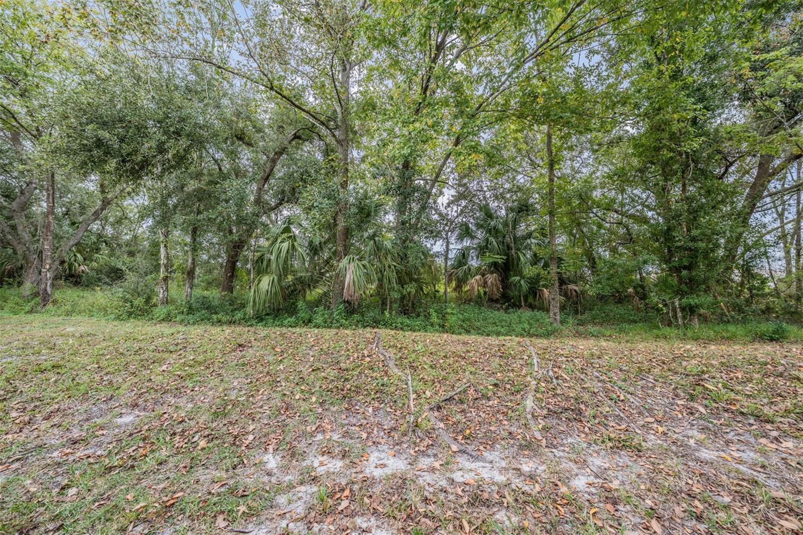 EDGEWATER/GRAND OAKS PH 02 A-1 - Residential