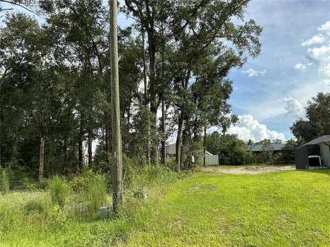 Tiny photo for SE 159th Place, Summerfield, FL 34491 (MLS # OM734470)