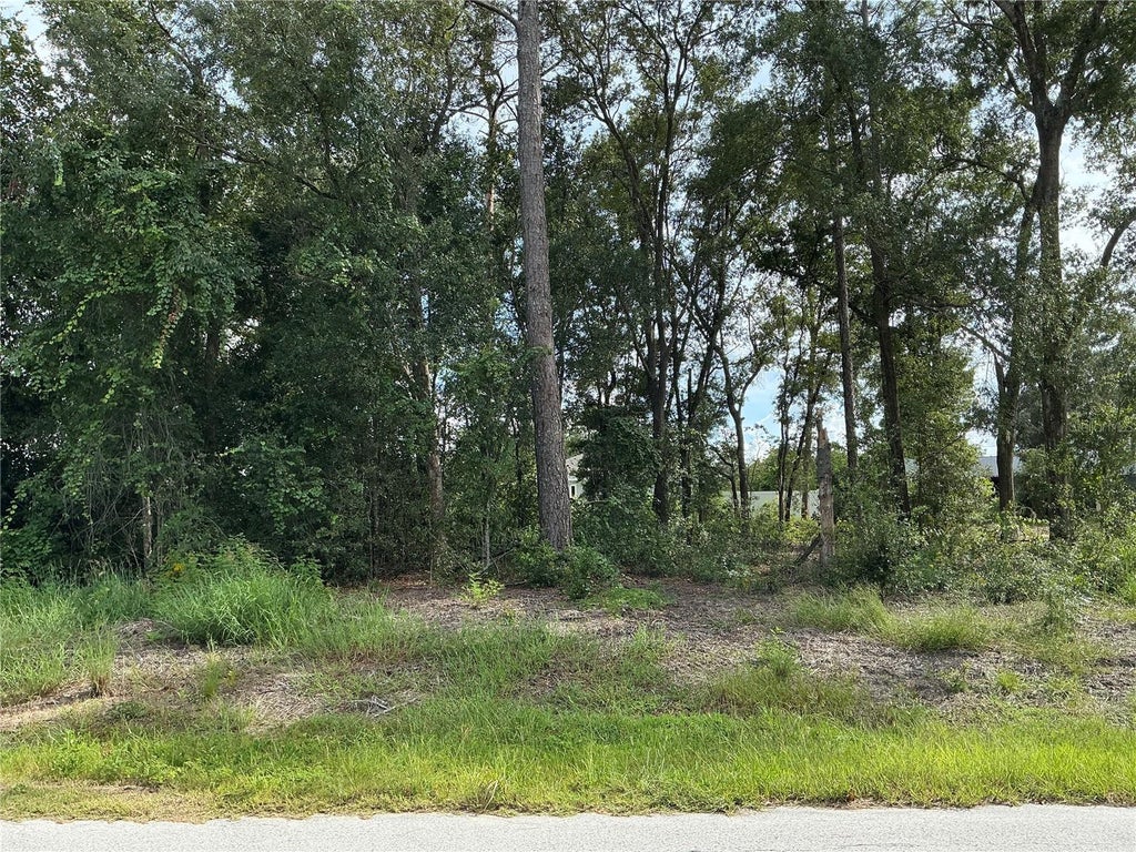 Photo of SE 159th Place, Summerfield, FL 34491 (MLS # OM734470)