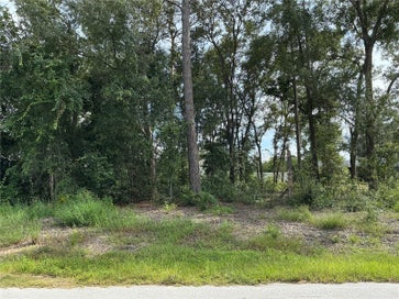 SE 159TH PLACE SUMMERFIELD FL 34491