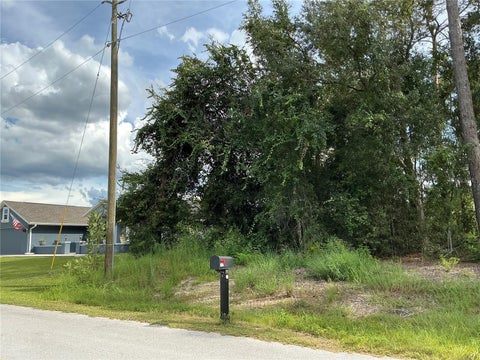 Tiny photo for SE 159th Place, Summerfield, FL 34491 (MLS # OM734470)