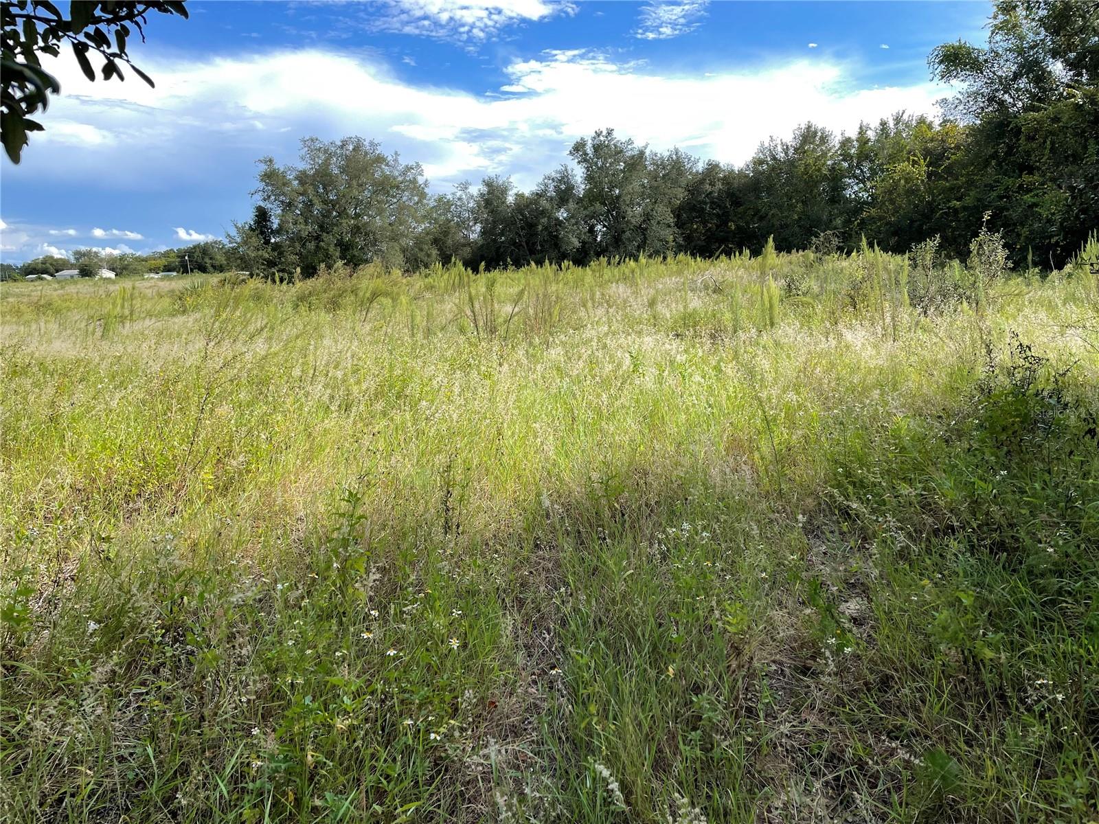 LOST LAKE RD