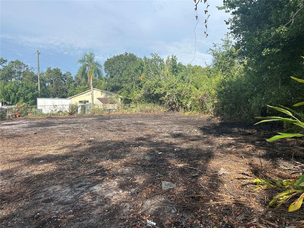 Photo of 21121 Little Lake Thomas Road, Land O Lakes, FL 34638 (MLS # TB8426736)