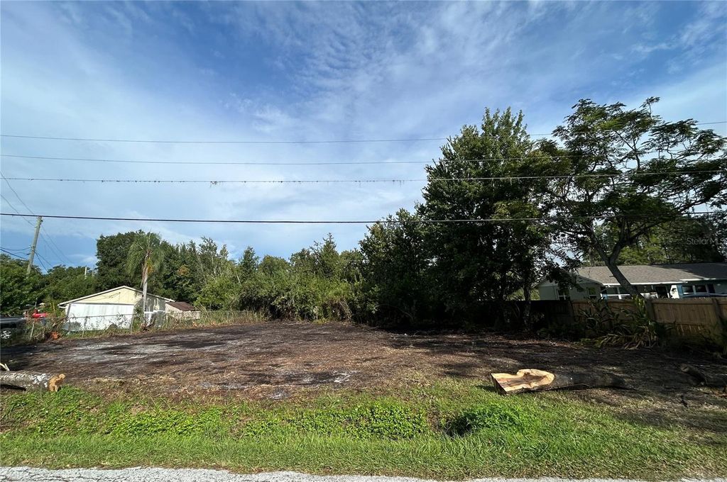 Photo of 21121 Little Lake Thomas Road, Land O Lakes, FL 34638 (MLS # TB8426736)