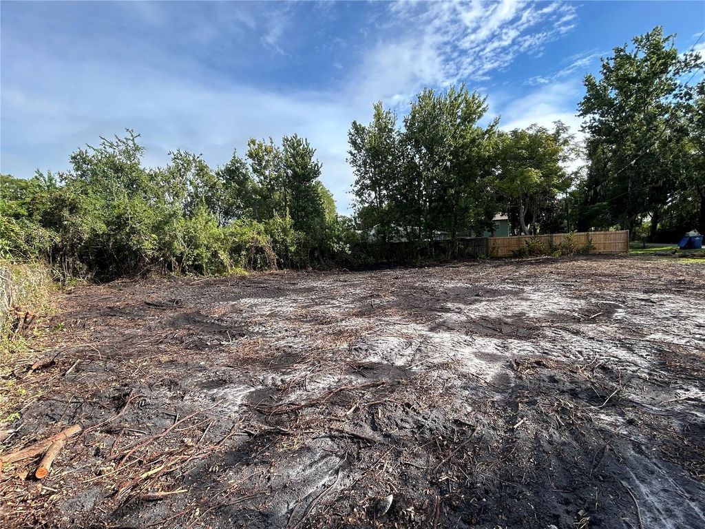 Photo of 21121 Little Lake Thomas Road, Land O Lakes, FL 34638 (MLS # TB8426736)
