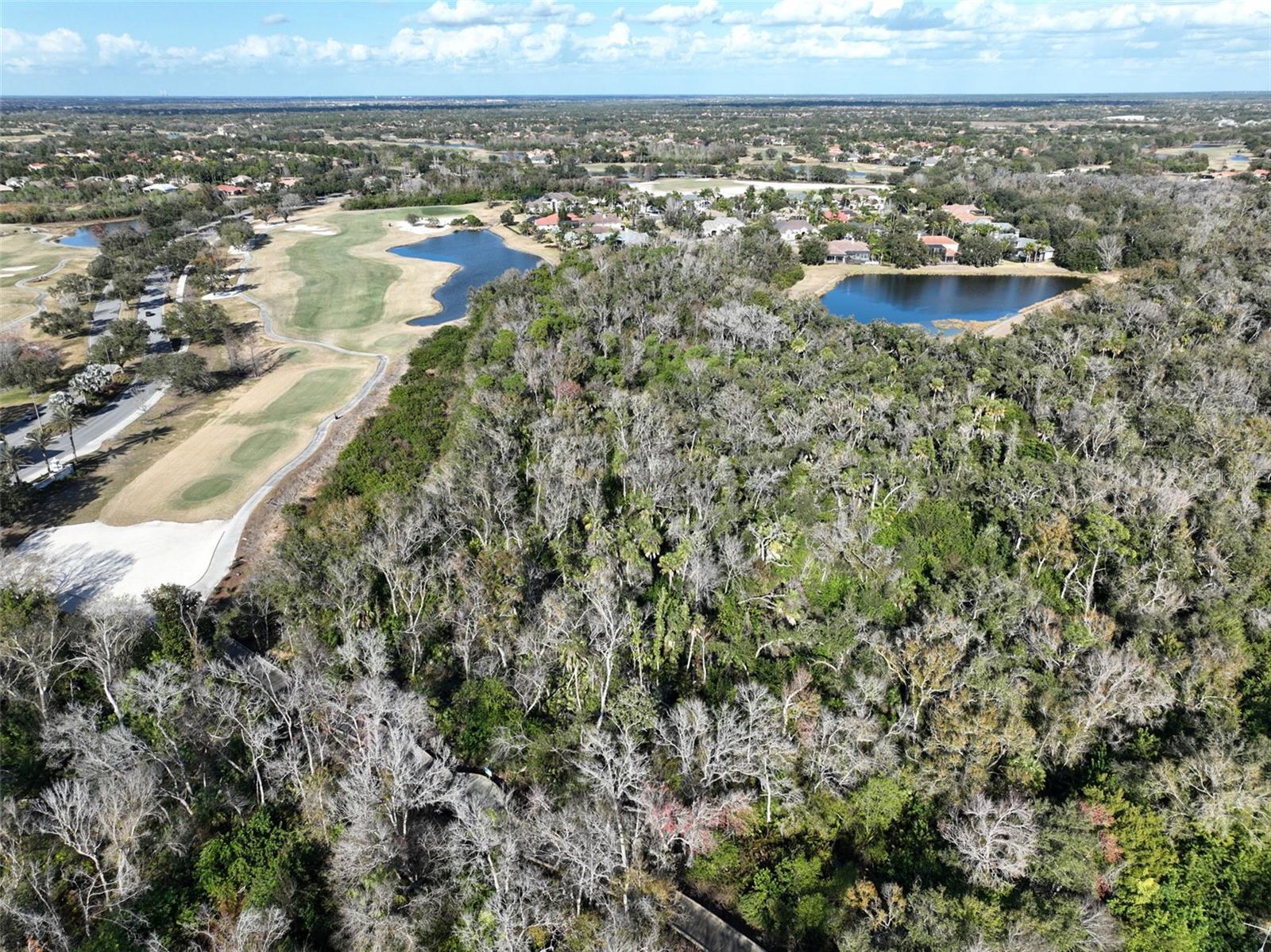 LAKEWOOD RANCH COUNTRY CLUB VILLAGE D 2 - Residential
