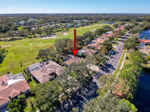 A home in TARPON SPRINGS