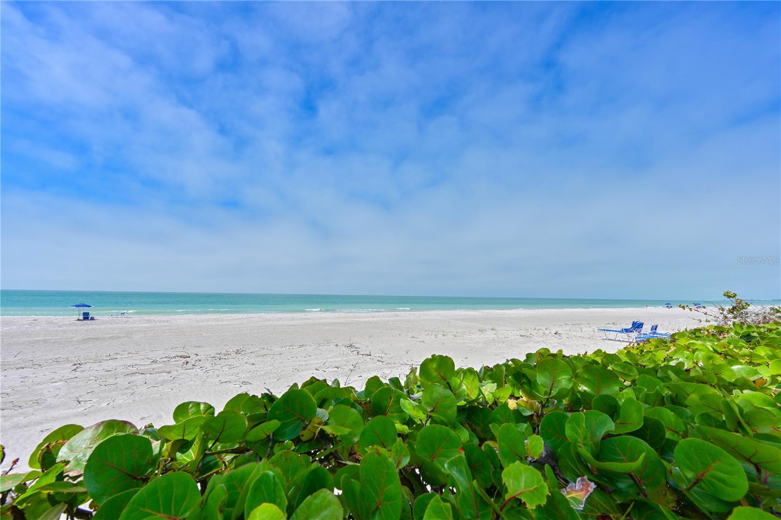 BEACH HARBOR CLUB - Residential