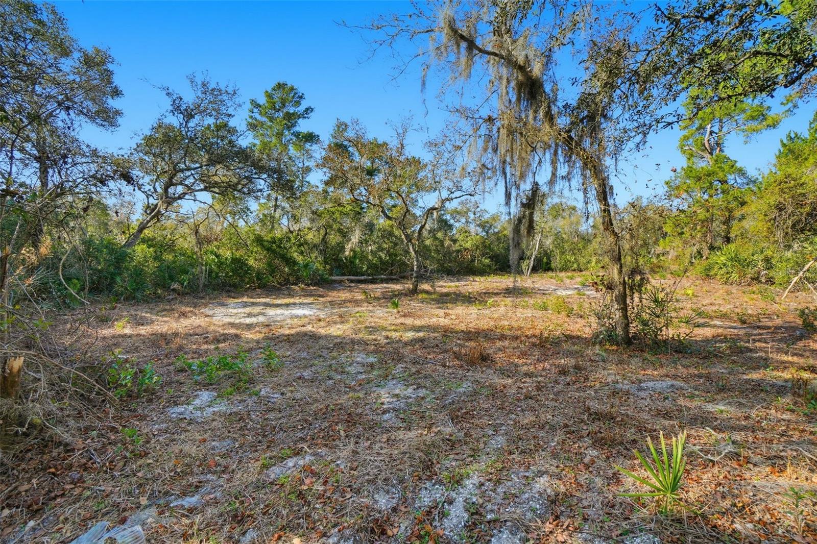 SAND PINE PLACE 5 ACRE DEVELOPMENT - Residential