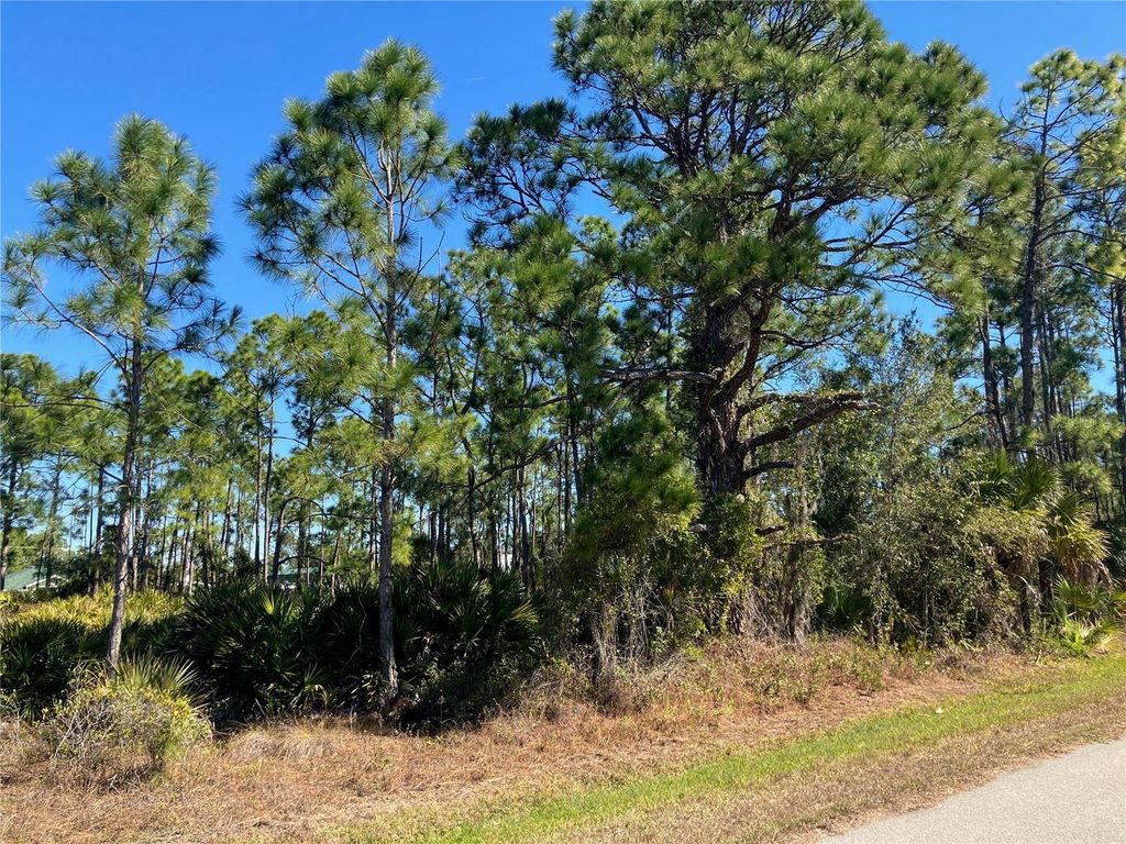 Photo of 26334 Eager Road, Punta Gorda, FL 33955 (MLS # C7521570)