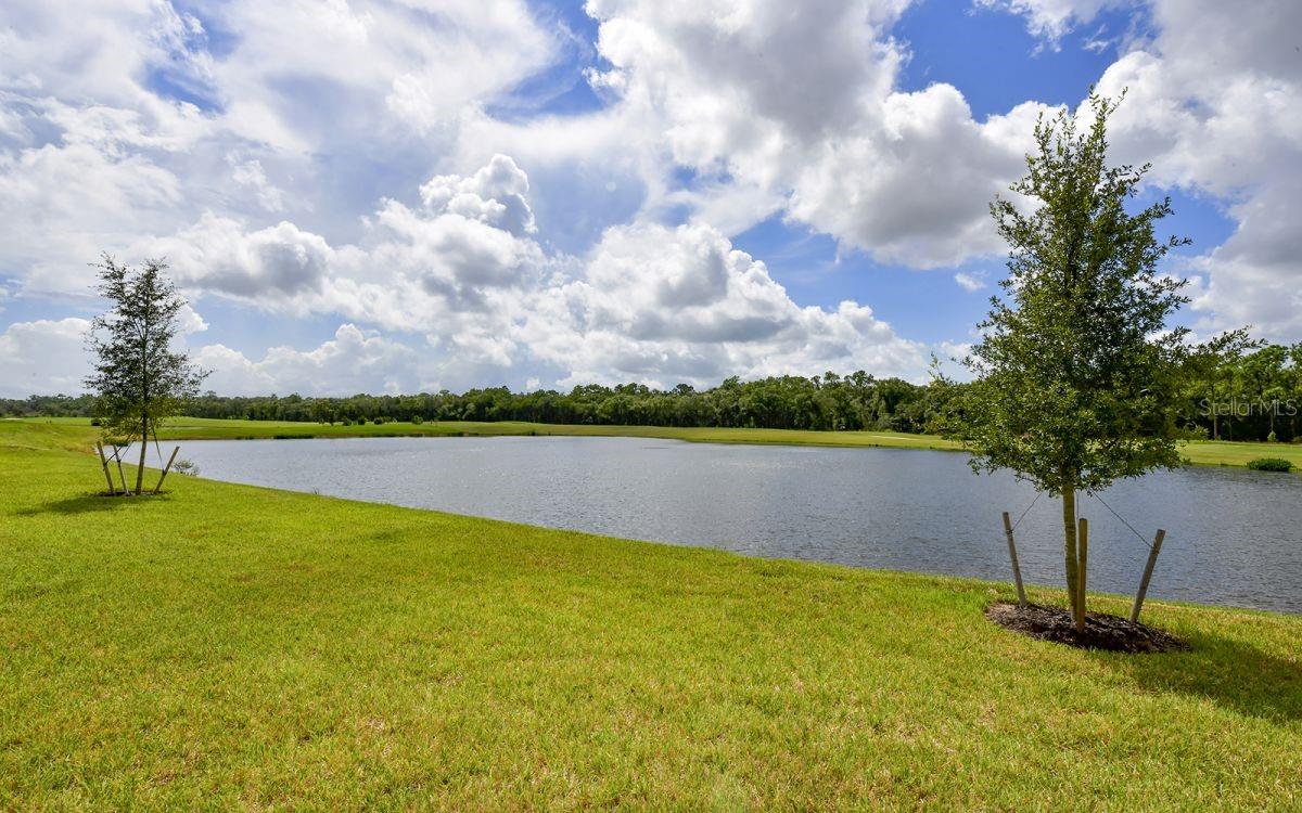 TERRACE IV AT LAKEWOOD NATIONAL PH II - Residential Lease