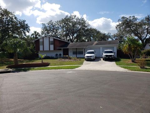 A home in TAMPA