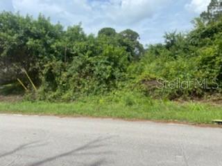 Florida Shores 01 - Land