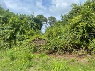 Florida Shores 01 - Land