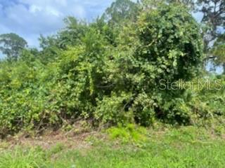 Florida Shores 01 - Land